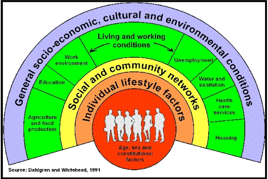 Traveller Health Project